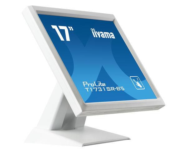 iiyama 17\