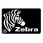 Zebra Label, Paper, 102x152mm; Thermal Transfer, Z-Perform 1000T, Uncoated, Permanent Adhesive, 25mm Core, Perforation