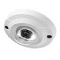 Pelco Vandal Lower Dome Surface